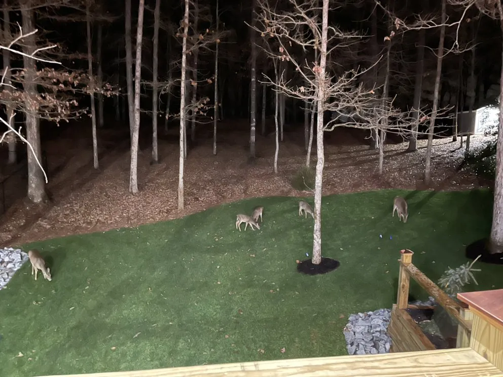 Trusted garden landscaping for residential properties across Cornelia, GA - KHW Property Management