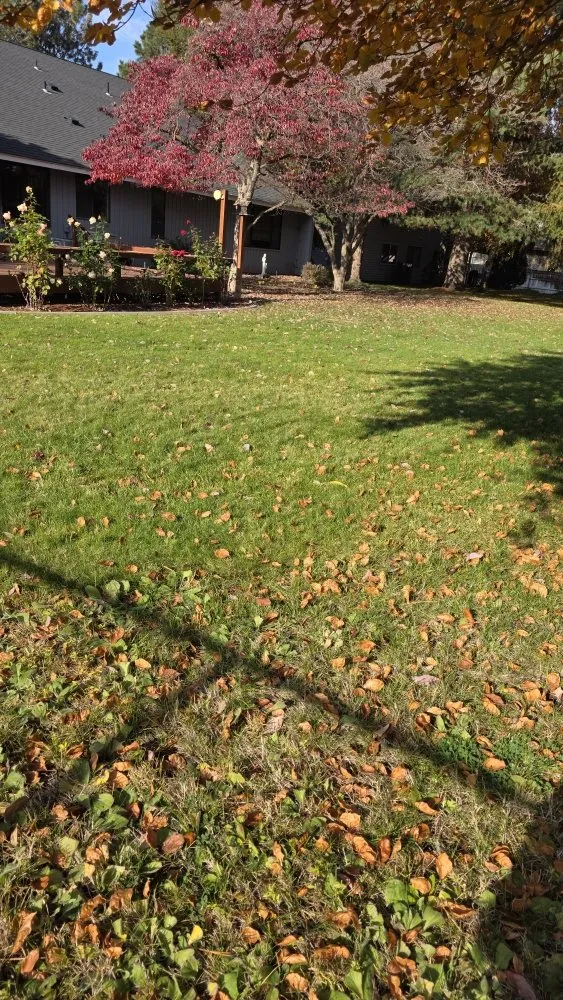 Trusted landscape installation in Kennewick, WA - K&I Mowing Services