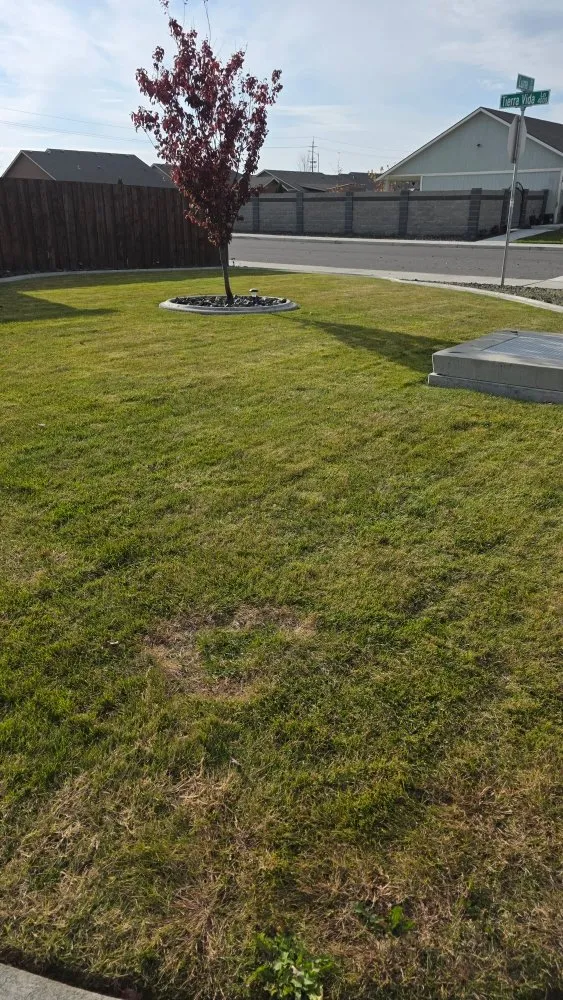 Trusted landscape design for year-round maintenance in Kennewick, WA by K&I Mowing Services