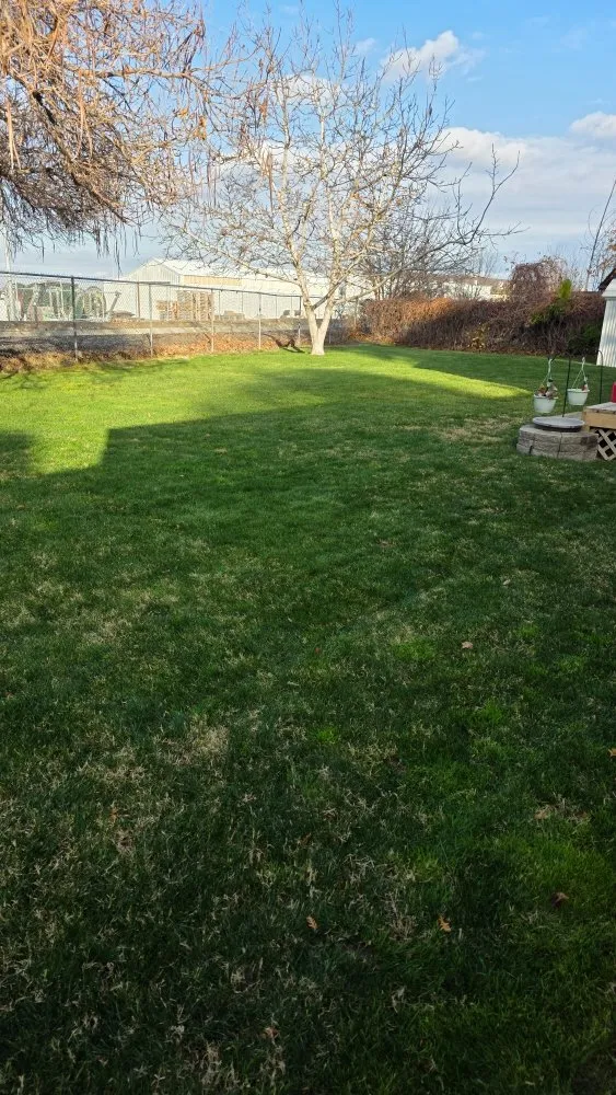 Expert lawn care service in Kennewick, WA by K&I Mowing Services