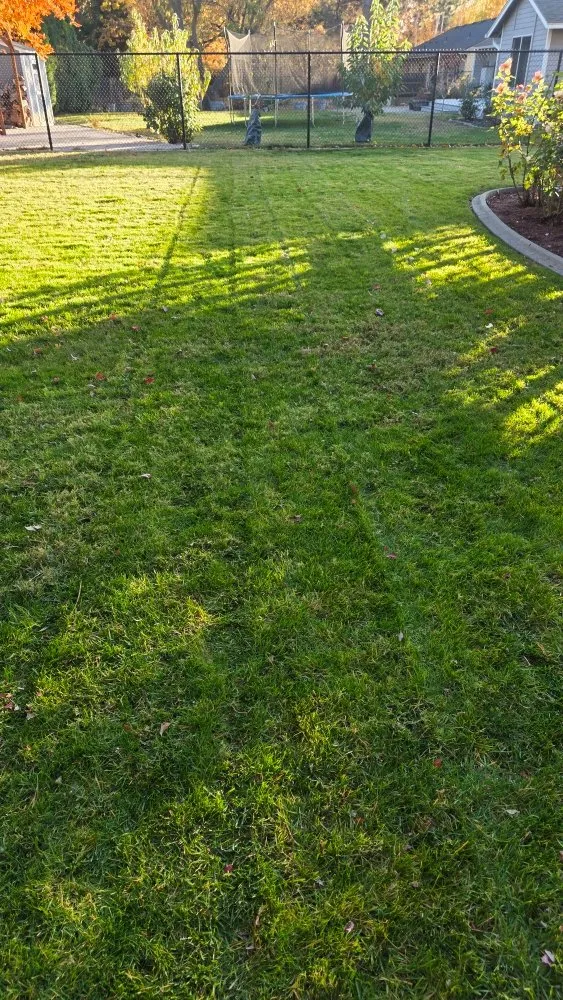Custom yard maintenance for beautiful yards in Kennewick, WA by K&I Mowing Services