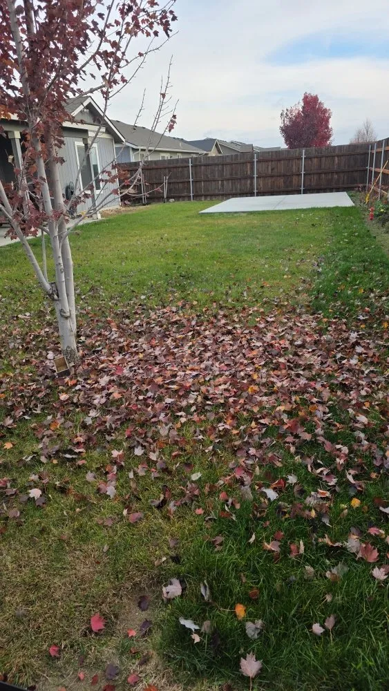 Affordable yard maintenance with custom design in Kennewick, WA by K&I Mowing Services