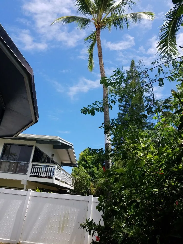 Trusted yard maintenance experts serving Kapolei, HI - Kiai Yard Service & Hauling