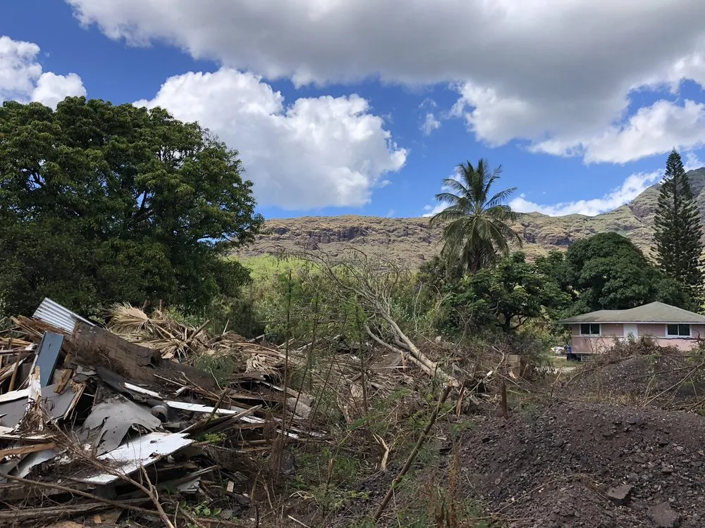 Expert landscape installation in Kapolei, HI - Kiai Yard Service & Hauling