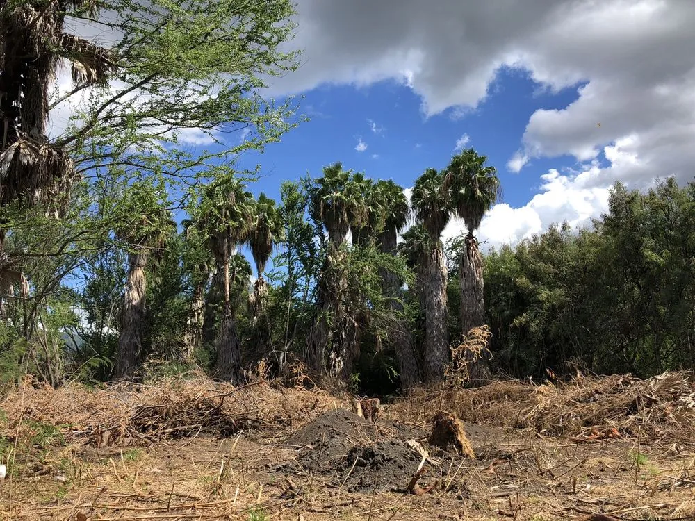 Affordable lawn care service experts serving Kapolei, HI - Kiai Yard Service & Hauling