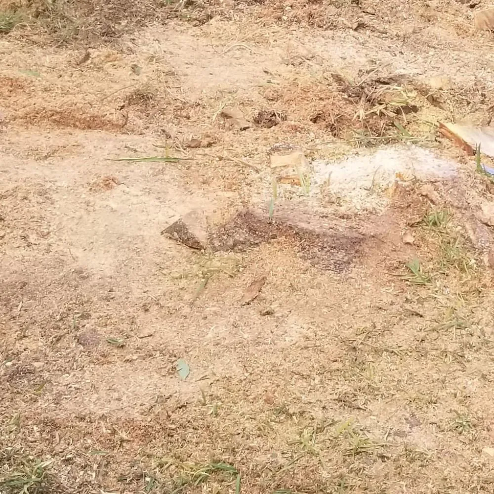 Expert lawn care service experts serving Kapolei, HI - Kiai Yard Service & Hauling