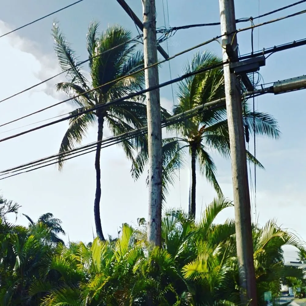 Local outdoor landscaping for residential properties across Kapolei, HI - Kiai Yard Service & Hauling