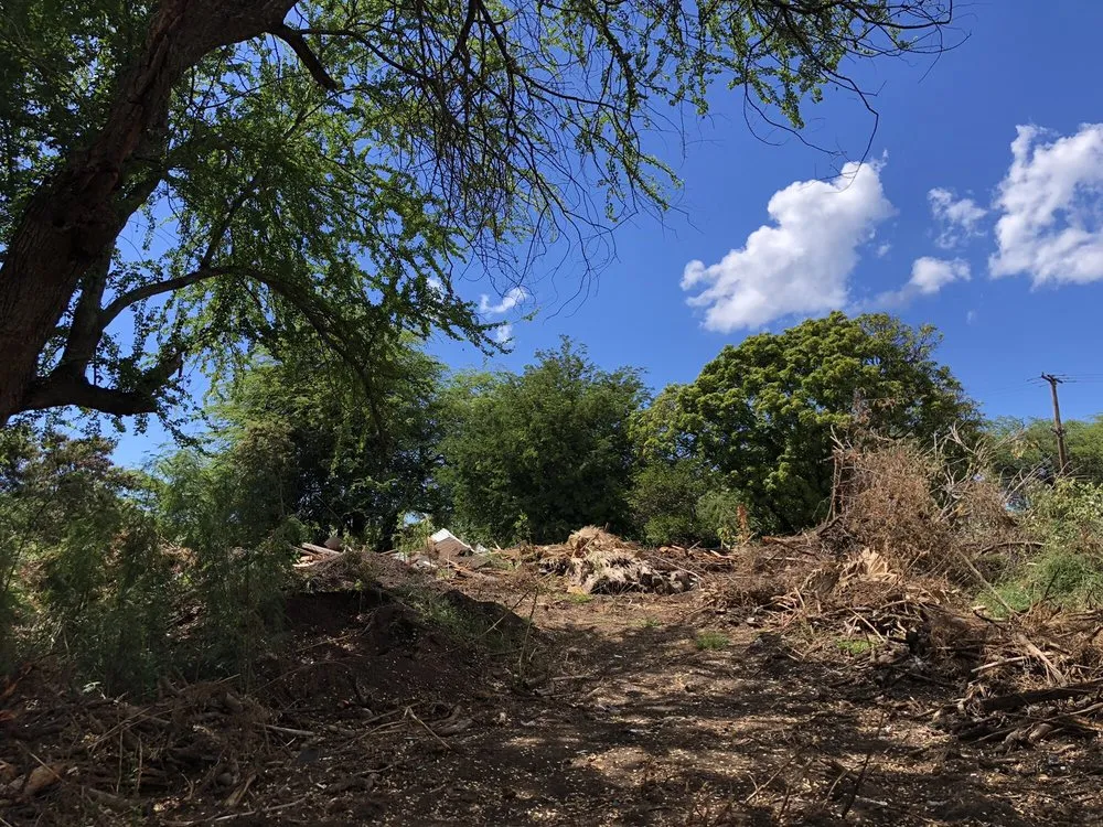 Affordable yard cleanup service with custom design in Kapolei, HI by Kiai Yard Service & Hauling