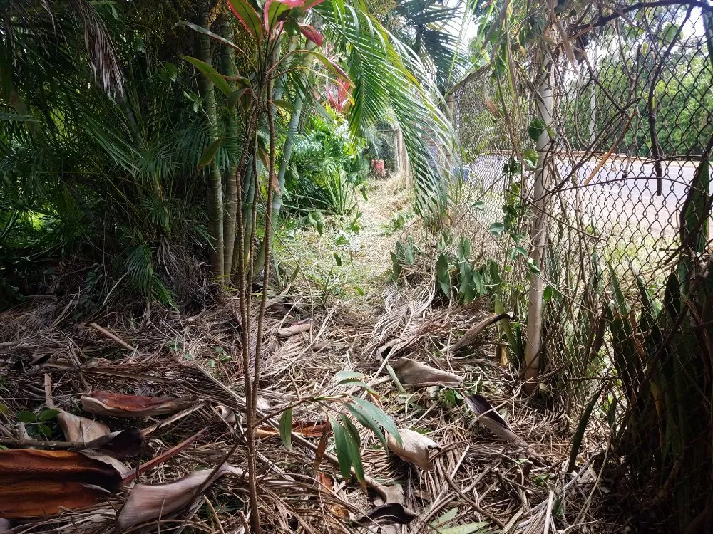 Expert outdoor landscaping in Kapolei, HI - Kiai Yard Service & Hauling