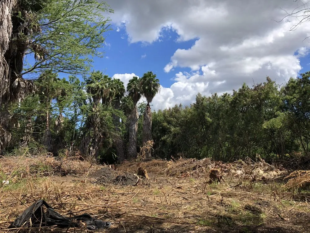 Custom landscaping services in Kapolei, HI - Kiai Yard Service & Hauling