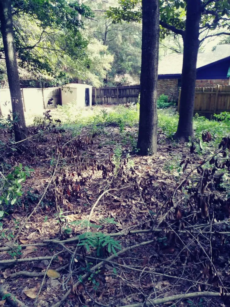 Reliable yard cleanup service for year-round maintenance in Theodore, AL by KIC Services