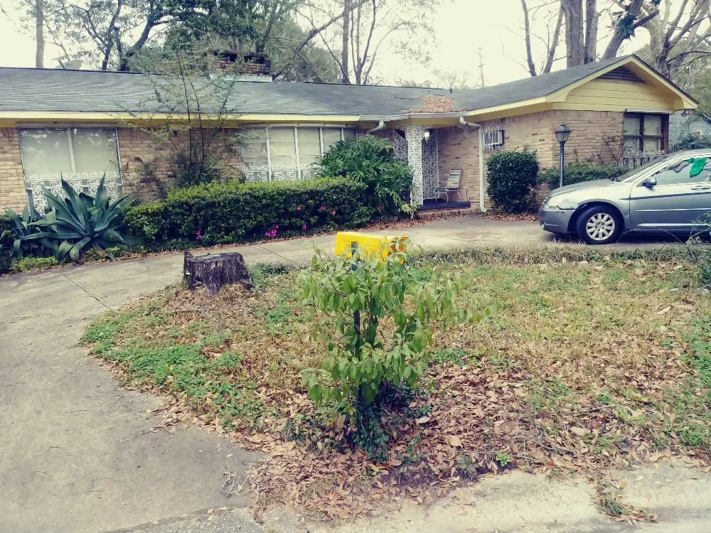 Expert residential landscaping in Theodore, AL by KIC Services