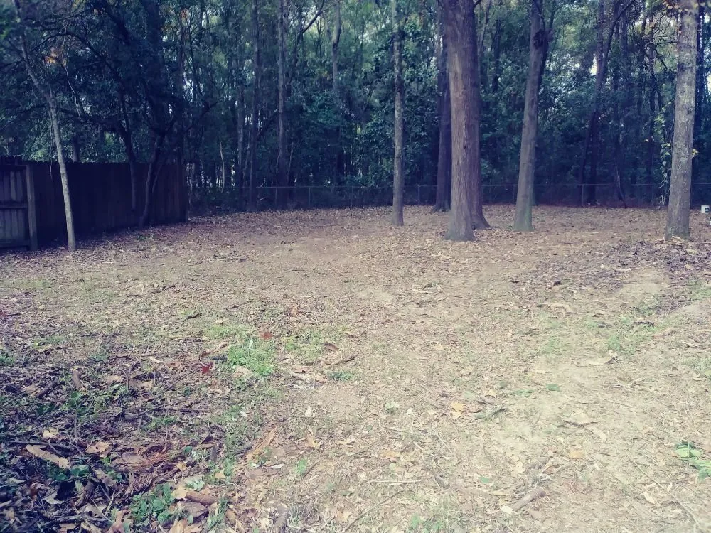 Trusted lawn mowing service experts serving Theodore, AL - KIC Services