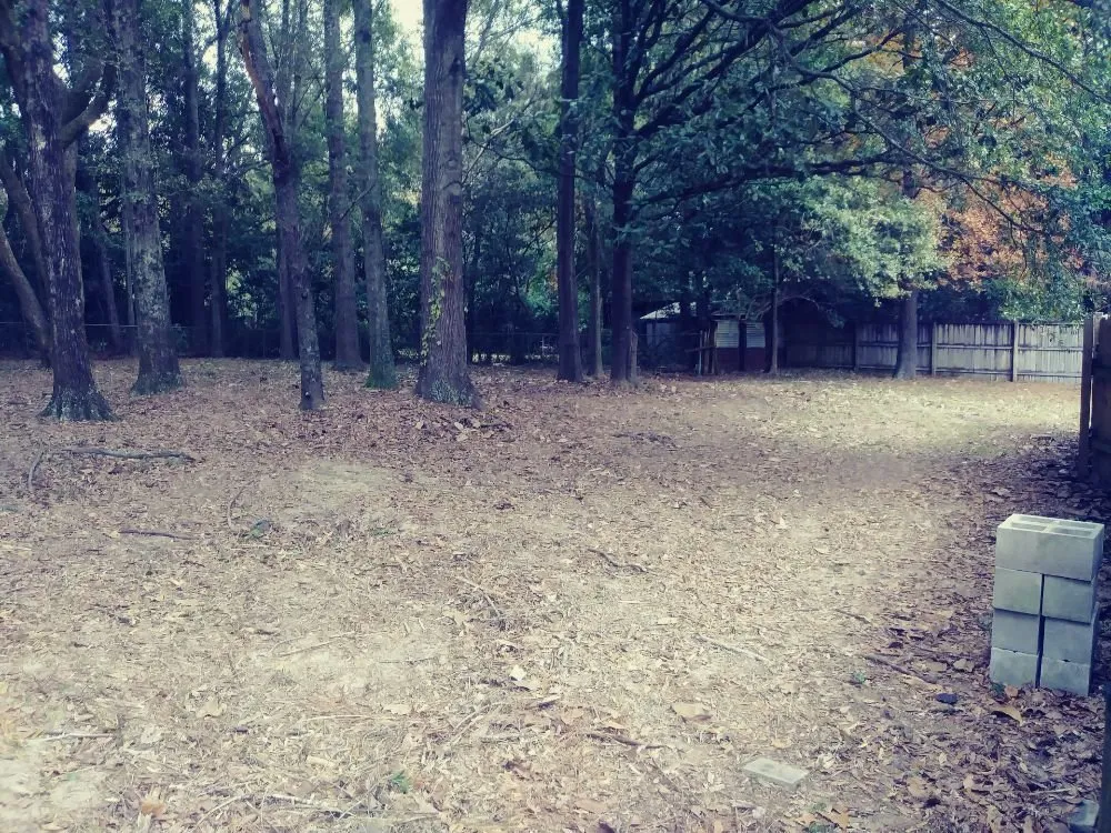 Local landscape installation for year-round maintenance in Theodore, AL by KIC Services