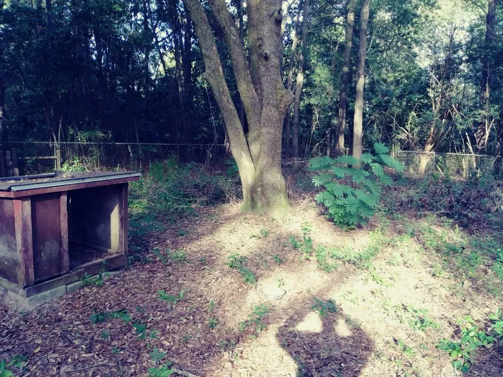 Reliable garden landscaping with custom design in Theodore, AL by KIC Services