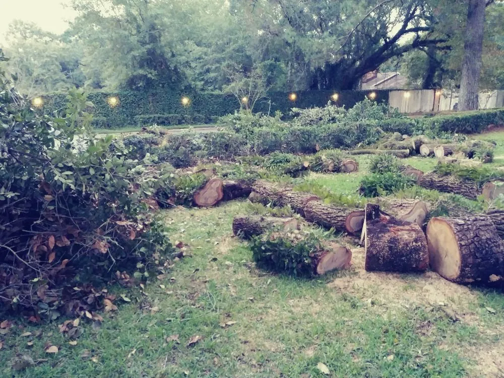 Professional landscape design for homes across Theodore, AL - KIC Services