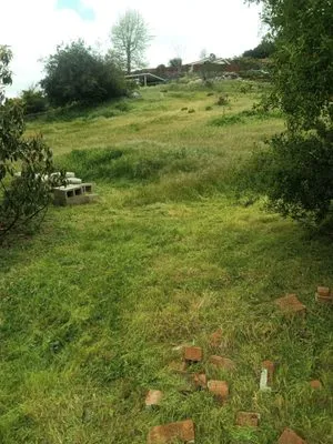 Kick flips & Quick clips lawn maintenance Logo