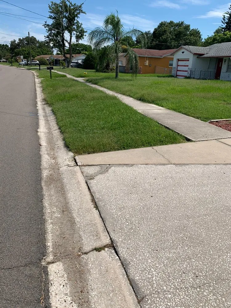 Professional outdoor landscaping in Ruskin, FL - Kick Gas Lawn Care