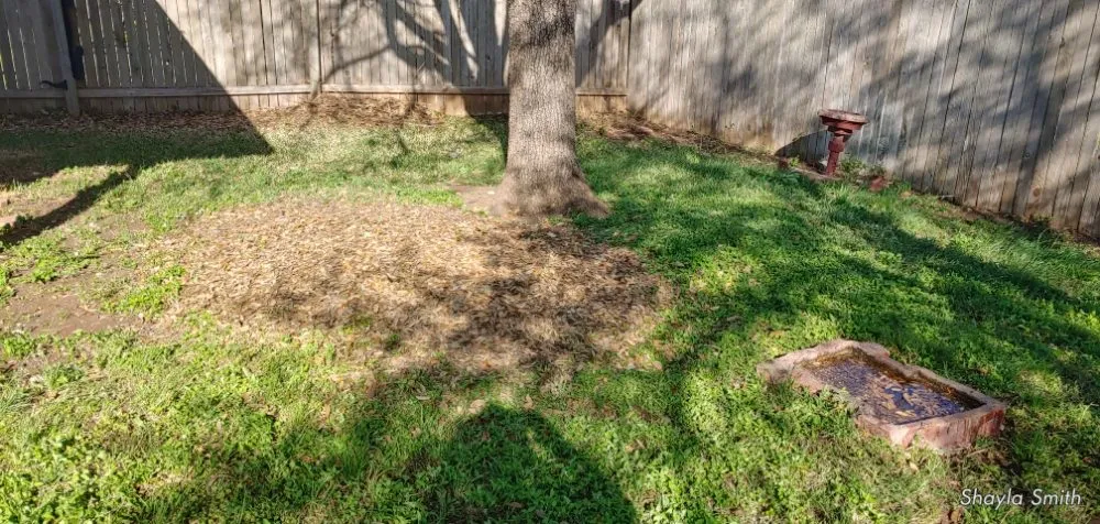 Affordable landscape design in Hutto, TX - Kick Grass Services