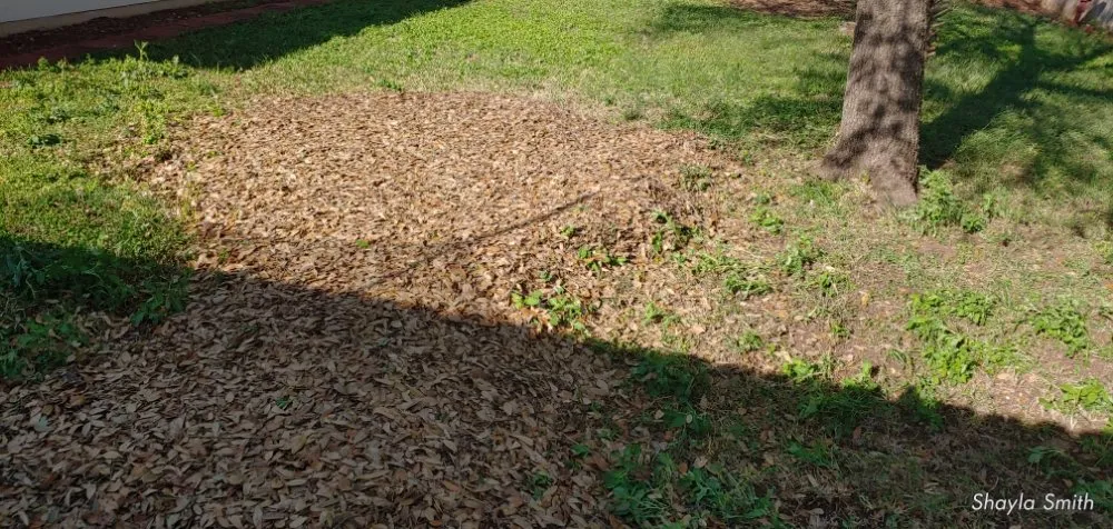 Affordable yard maintenance in Hutto, TX by Kick Grass Services