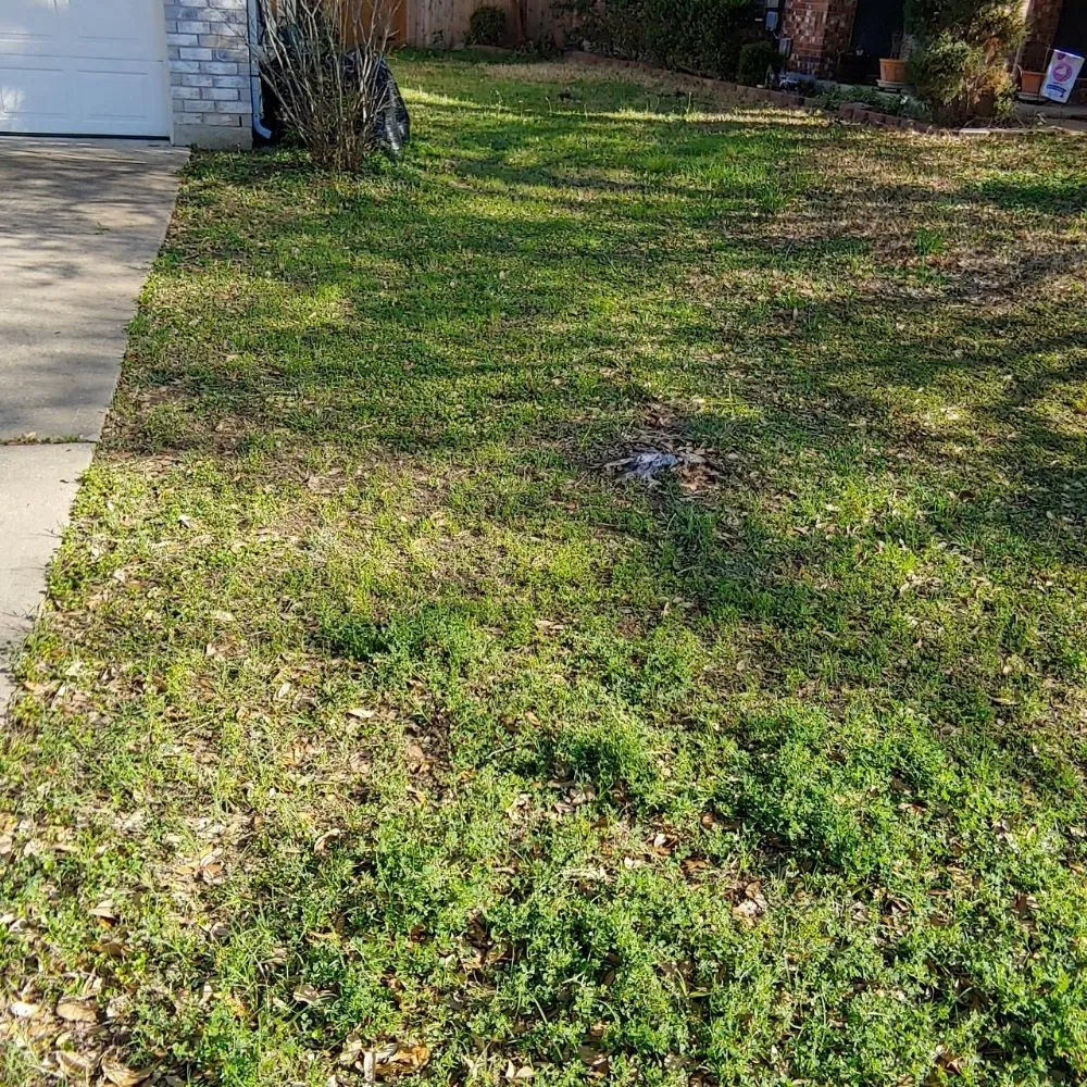 Trusted lawn care service in Hutto, TX by Kick Grass Services