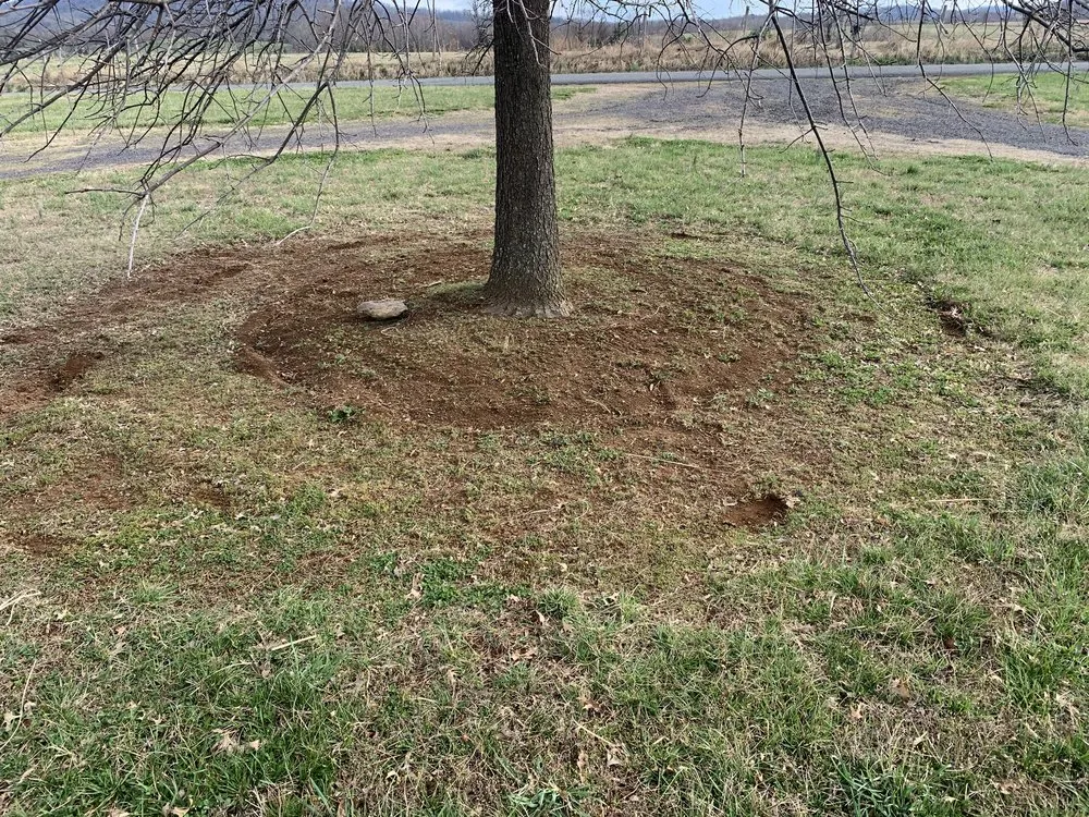 Affordable lawn mowing service experts serving Sperryville, VA - Kickin’ Grass Lawn & Landscaping