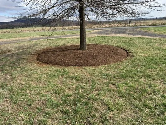 Kickin’ Grass Lawn & Landscaping Logo