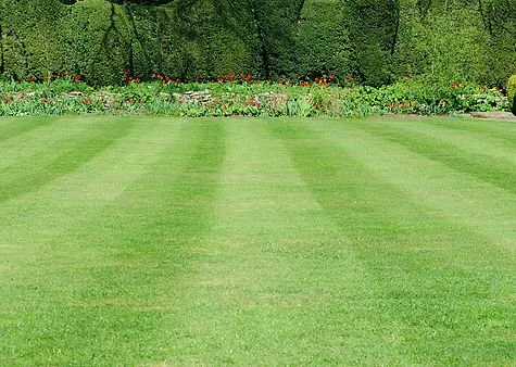 Local yard maintenance for year-round maintenance in Spotsylvania, VA by Kickin Grass Lawn Care