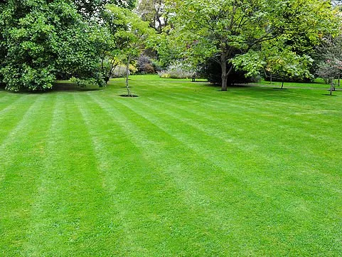 Local yard cleanup service in Spotsylvania, VA - Kickin Grass Lawn Care