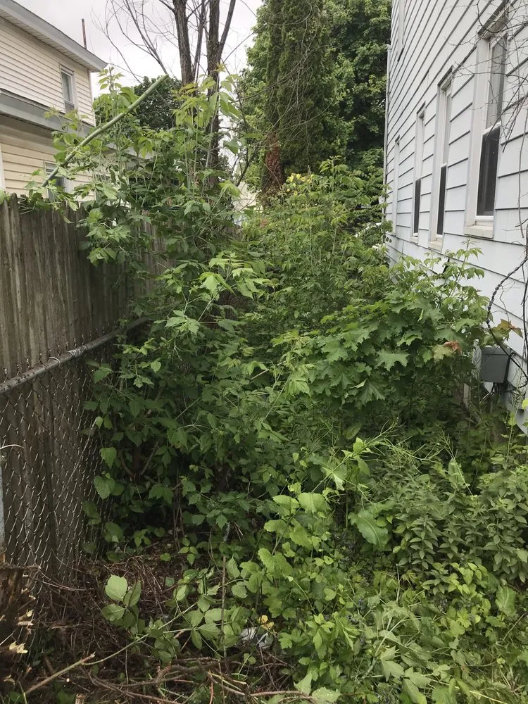 Reliable lawn mowing service experts serving Hinsdale, MA - Kickin Grass Lawn Maintenance