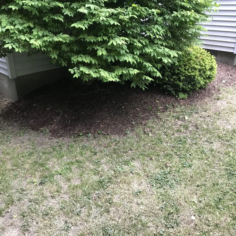 Expert outdoor landscaping experts serving Hinsdale, MA - Kickin Grass Lawn Maintenance