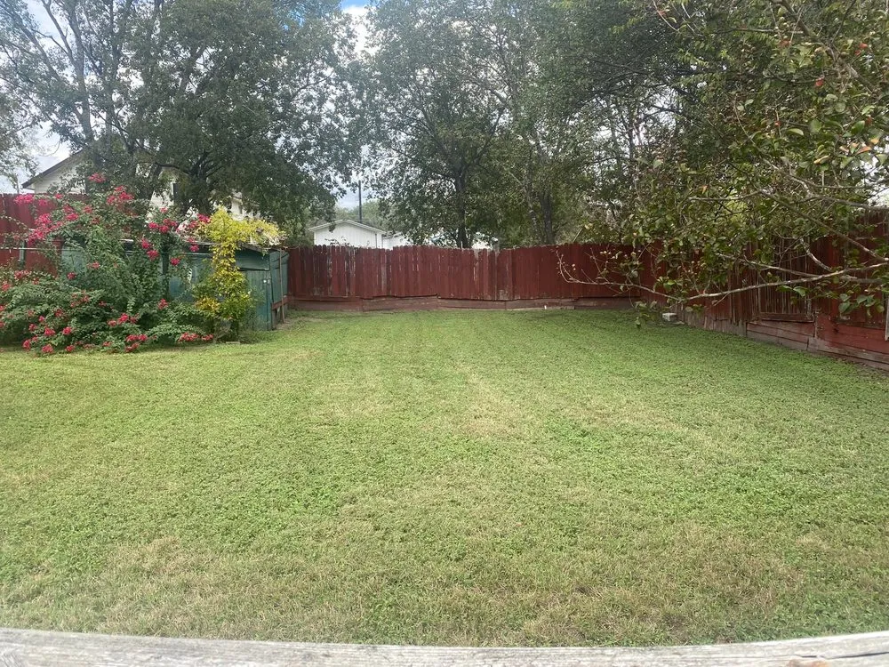 Custom yard cleanup service in San Antonio, TX - Kickin’ Grass Lawncare & Tree Services