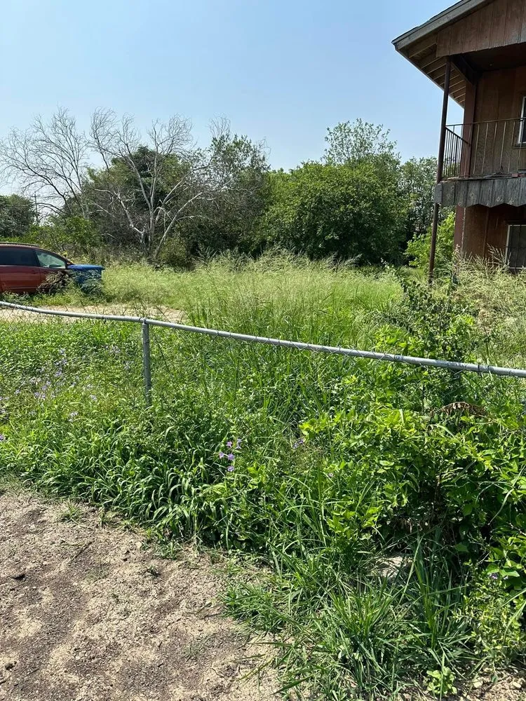 Local yard cleanup service for year-round maintenance in San Antonio, TX by Kickin’ Grass Lawncare & Tree Services