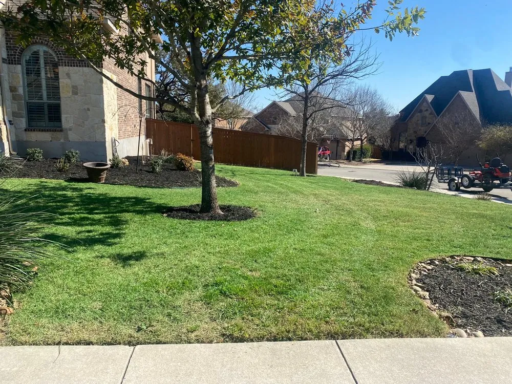 Custom yard cleanup service experts serving San Antonio, TX - Kickin’ Grass Lawncare & Tree Services