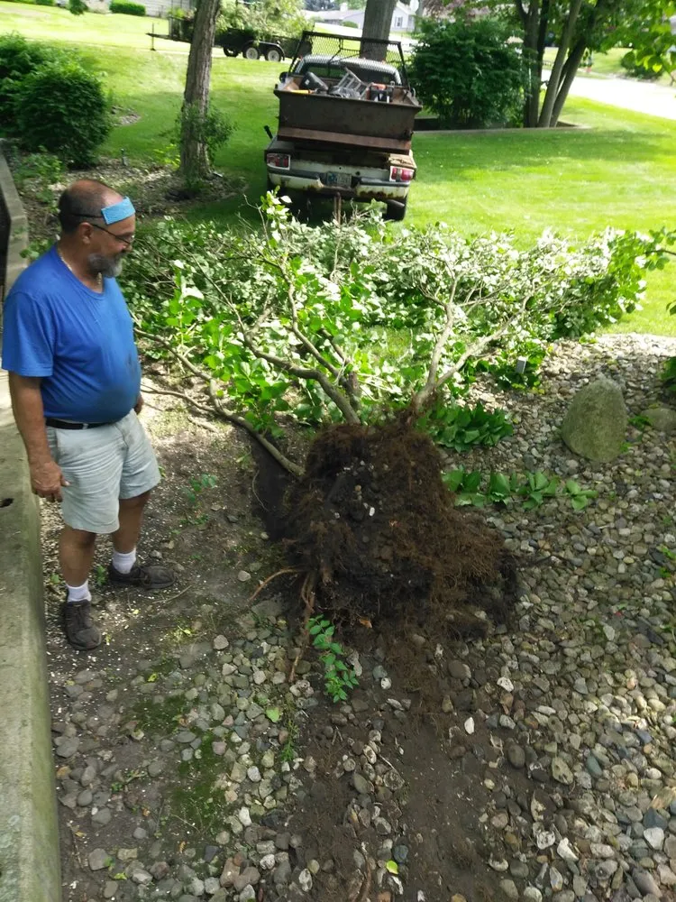 Top-rated lawn care service for outdoor upgrades in South Bend, IN by KICKIN GRASS