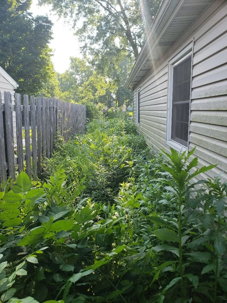 Local landscape design in South Bend, IN by KICKIN GRASS