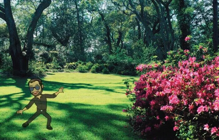 Top-rated residential landscaping for year-round maintenance in Wilmington, NC by Kickin Grass