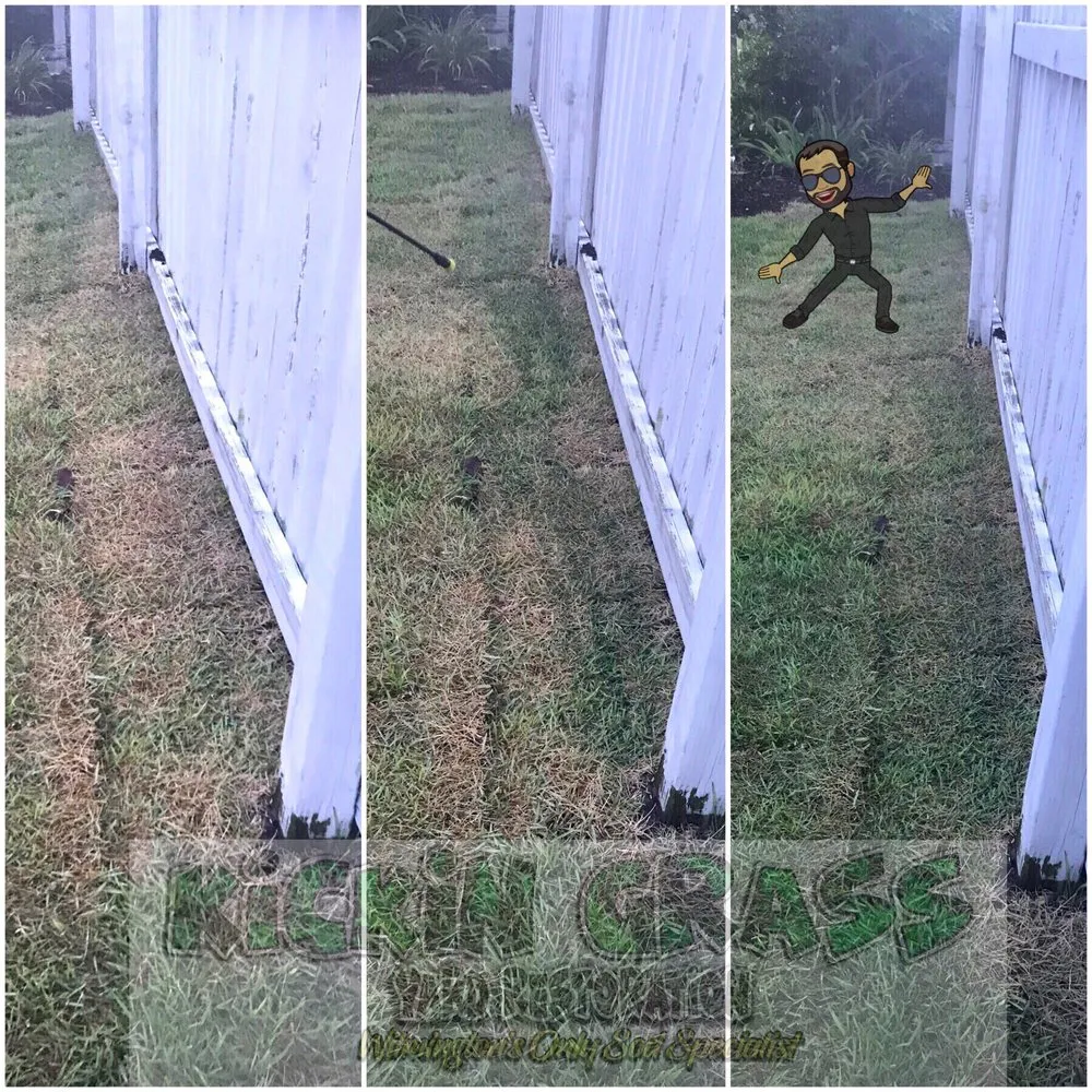 Professional yard maintenance with custom design in Wilmington, NC by Kickin Grass