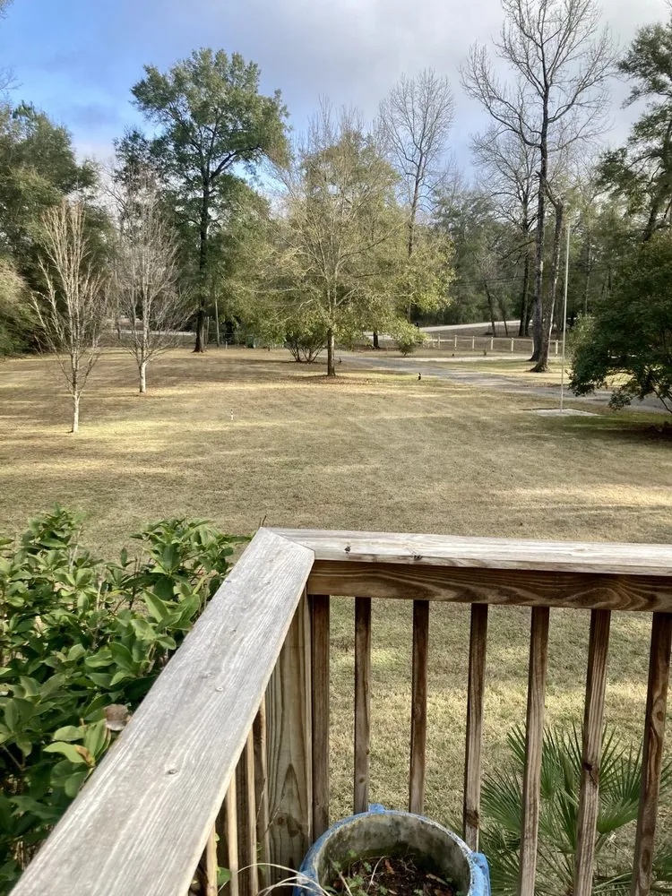 Reliable yard cleanup service for year-round maintenance in Crawfordville, FL by Kicking Grass Cheap
