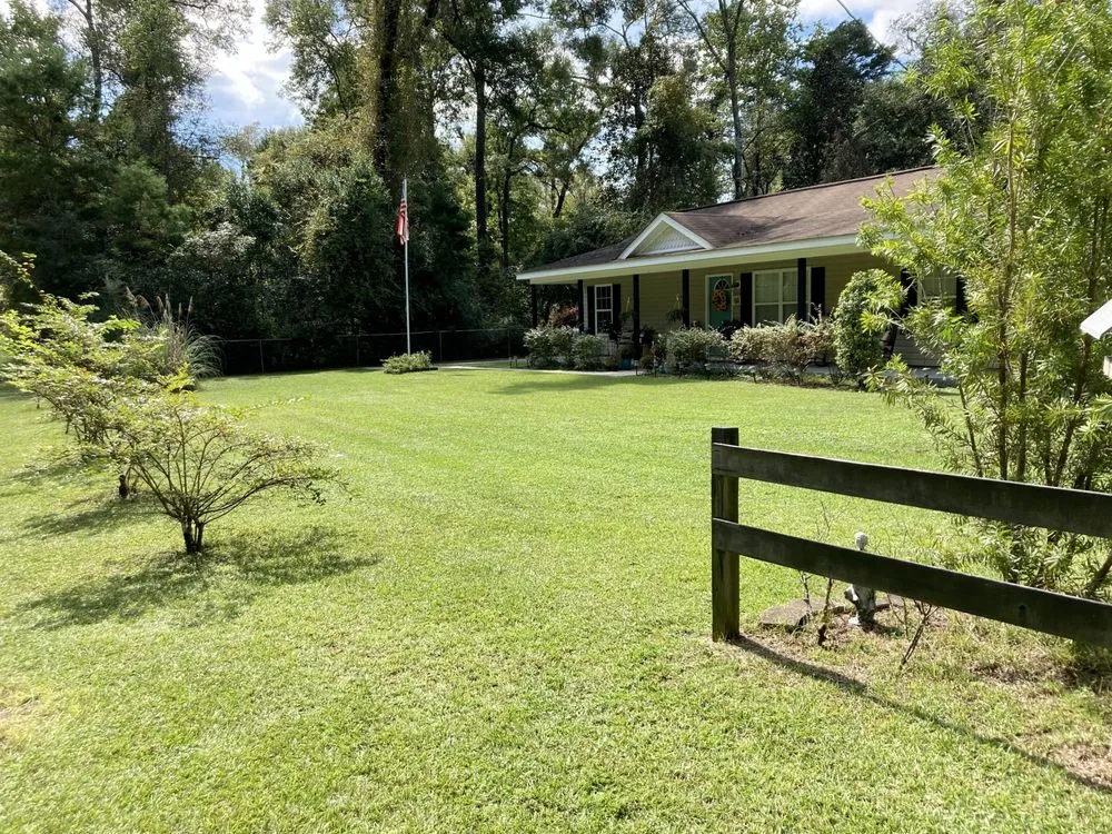 Reliable yard cleanup service experts serving Crawfordville, FL - Kicking Grass Cheap