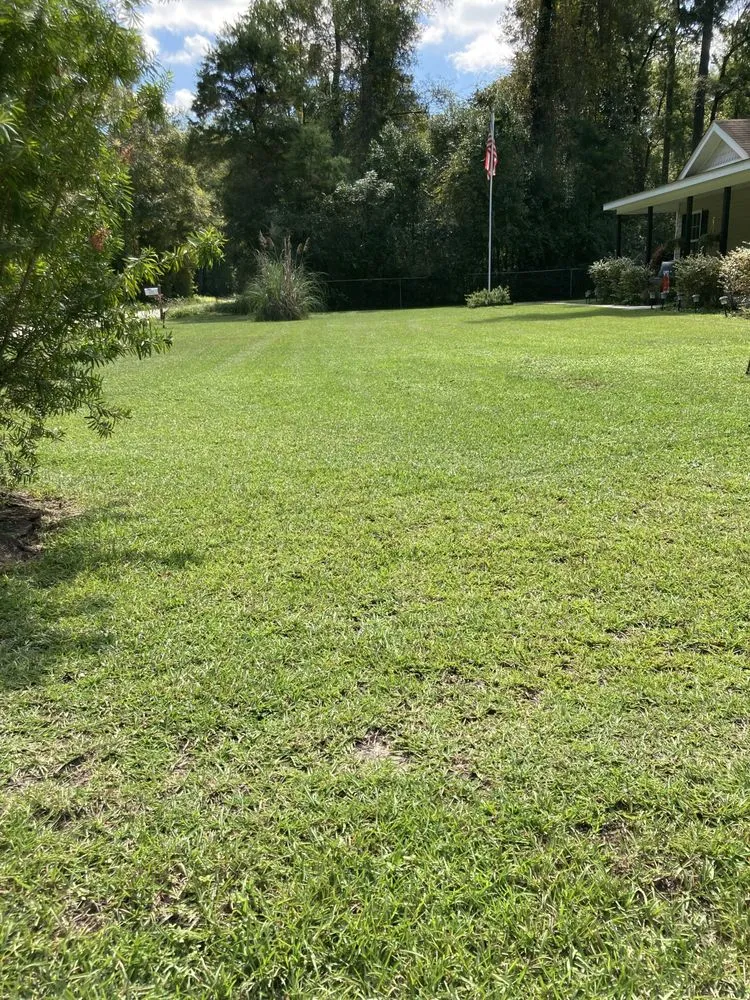 Trusted landscape installation in Crawfordville, FL by Kicking Grass Cheap