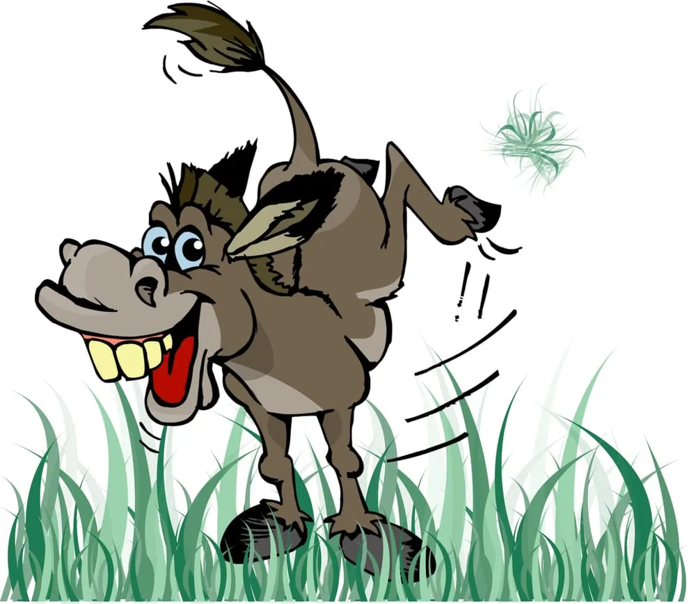 Affordable yard maintenance experts serving Huntertown, IN - Kicking Grass Turf Management