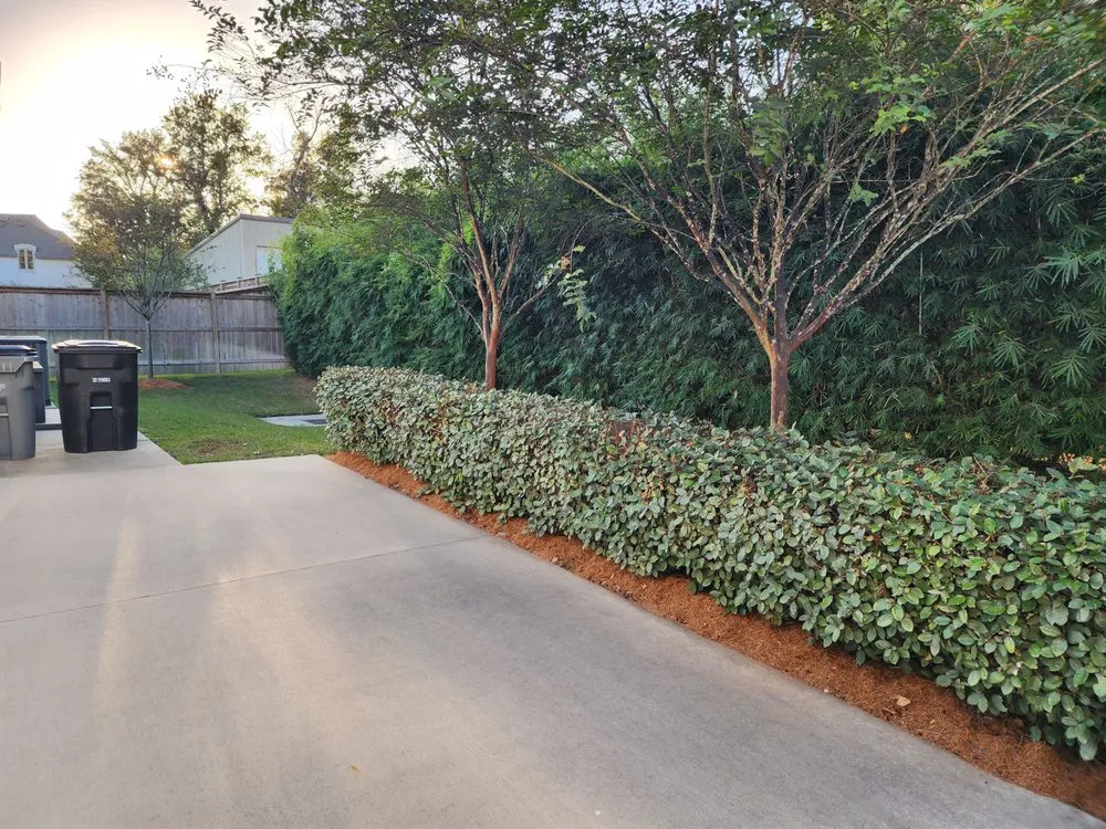 Reliable garden landscaping for beautiful yards across Walker, LA - Kidd’s Landscape