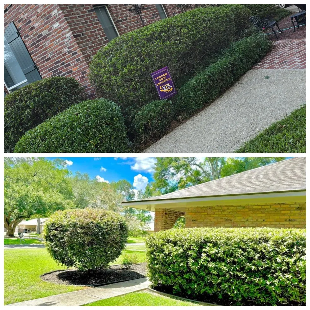 Reliable landscaping services for year-round maintenance in Walker, LA by Kidd’s Landscape