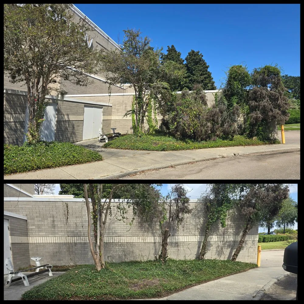 Affordable garden landscaping for homes across Walker, LA - Kidd’s Landscape