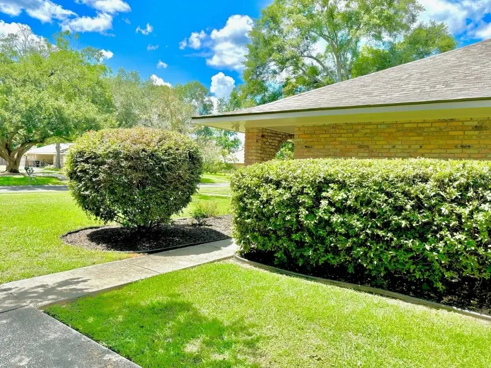 Custom yard cleanup service in Walker, LA - Kidd’s Landscape