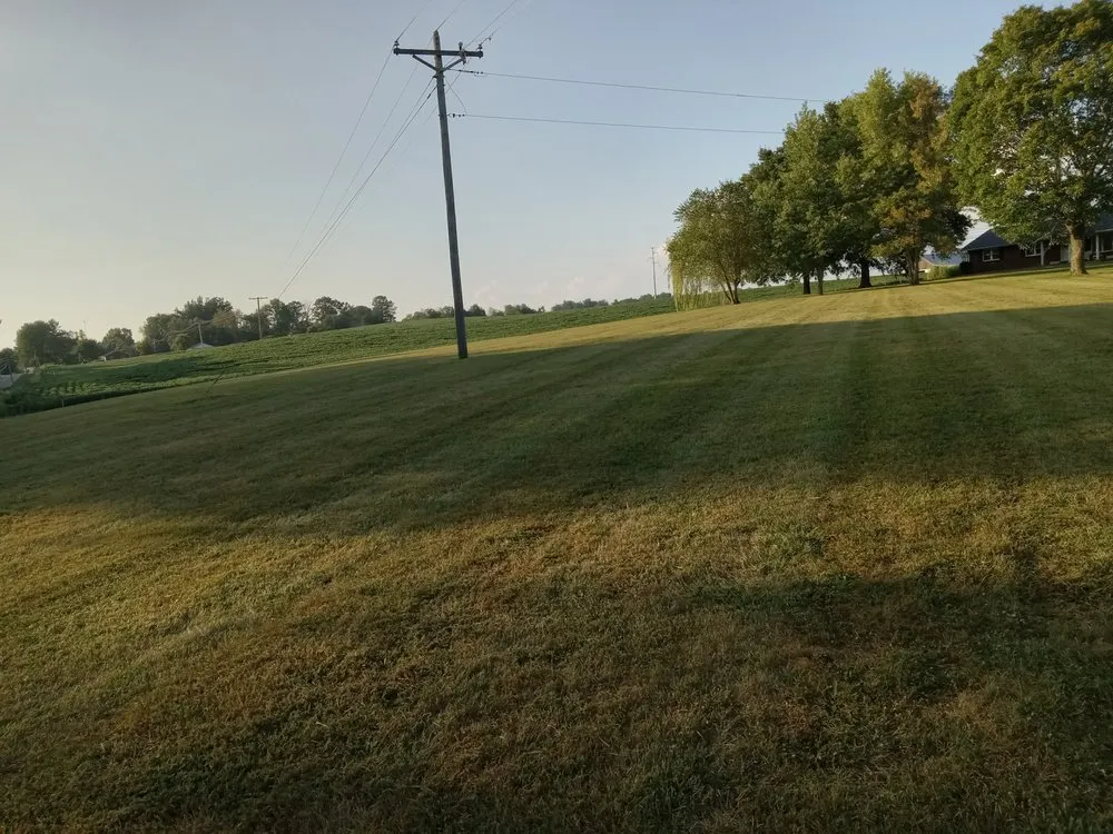 Reliable lawn care service for year-round maintenance in Campbellsville, KY by Kidds Lawncare