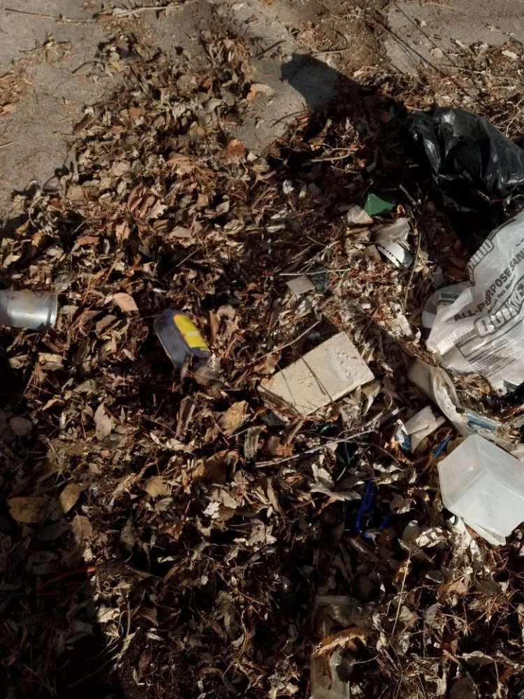 Custom lawn mowing service experts serving Des Moines, IA - Kids and Me