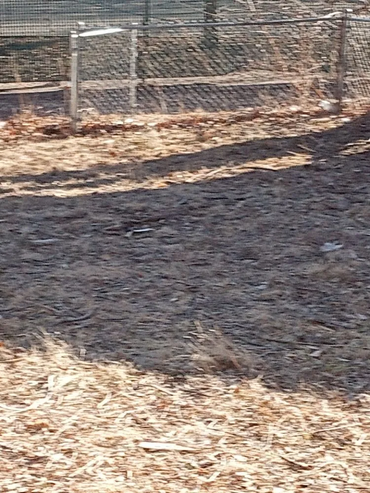 Reliable outdoor landscaping with custom design across Des Moines, IA - Kids and Me