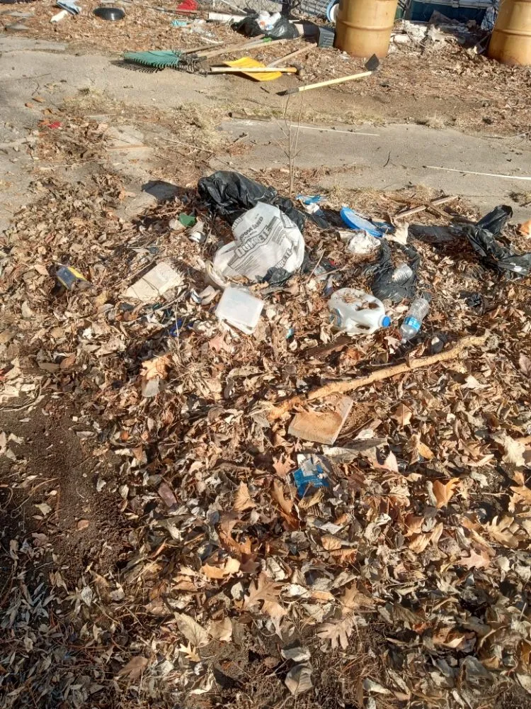 Affordable residential landscaping experts serving Des Moines, IA - Kids and Me